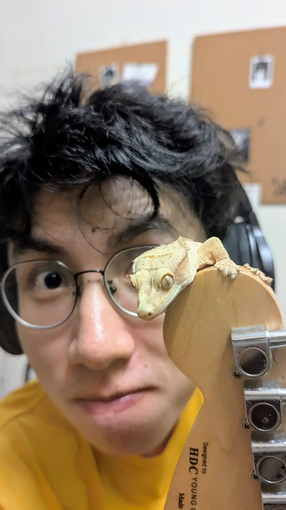 gecko